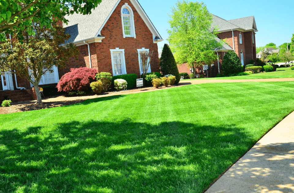 LAWN EDGING