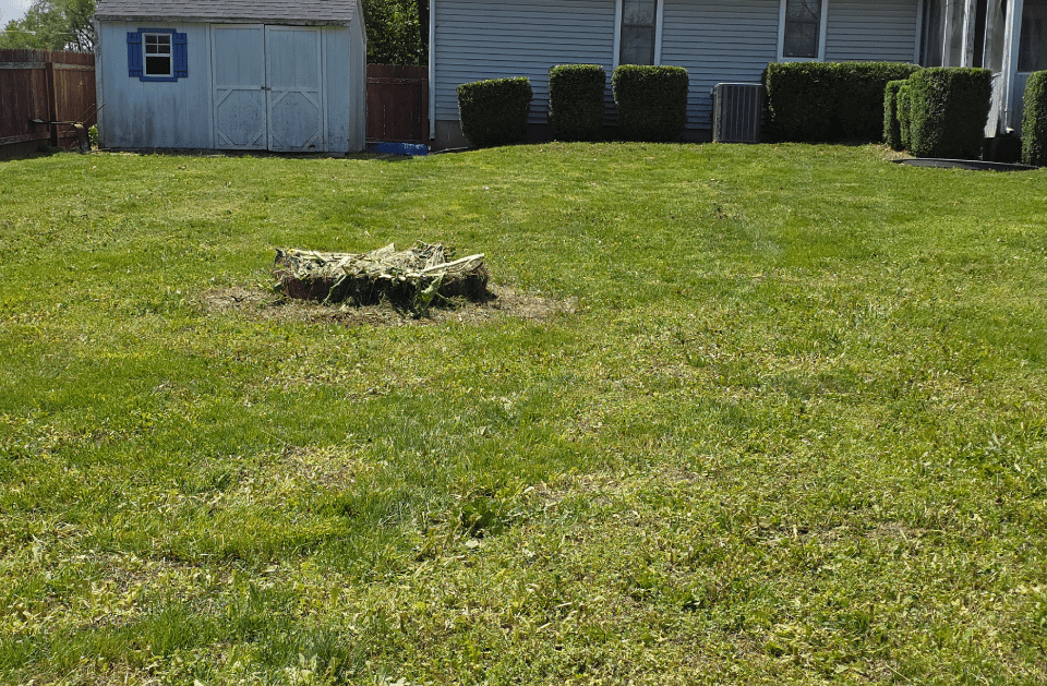 LAWN TRIMMING